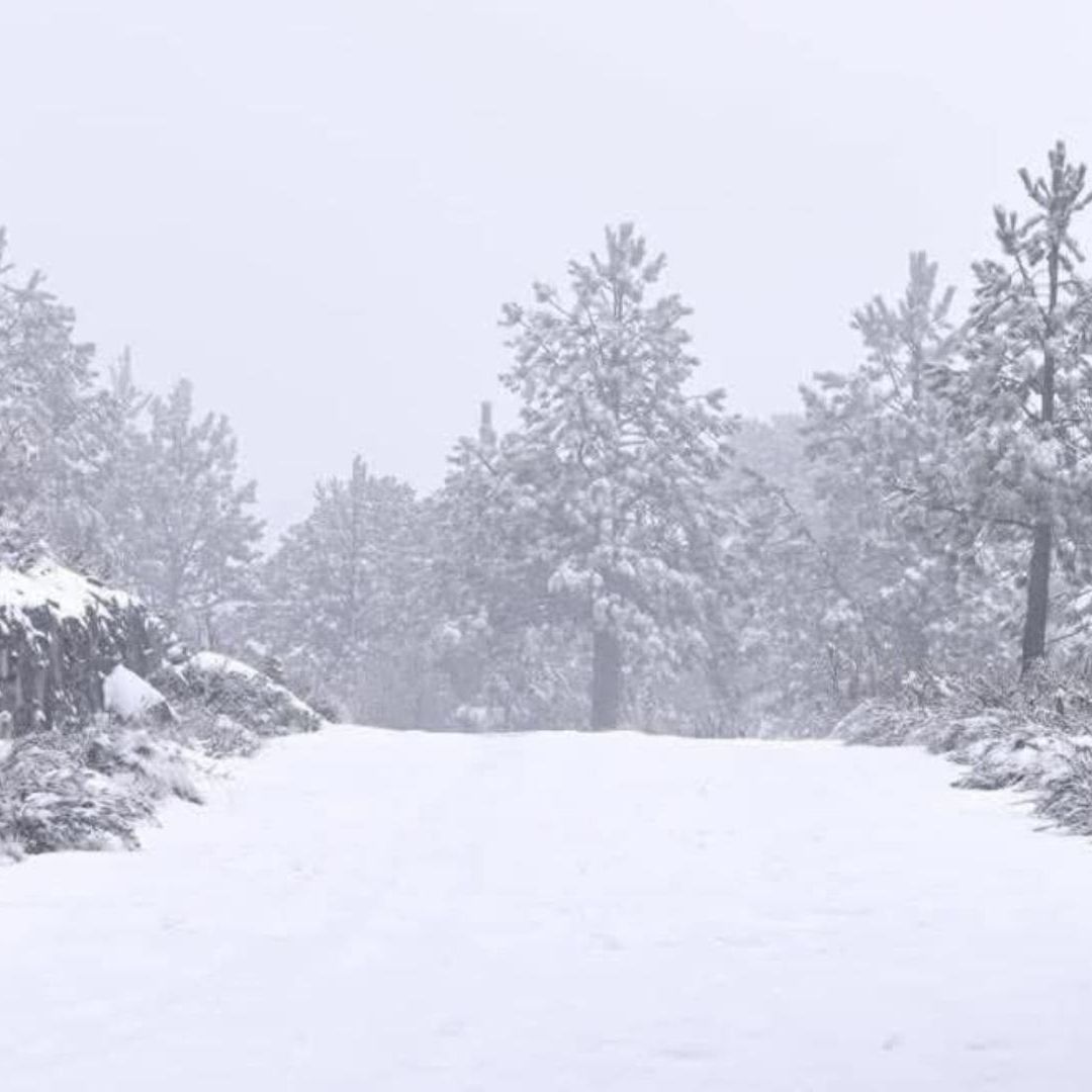 Alerta Frente Frío 25 Puebla Zonas Afectadas Pronóstico Lluvia Viento Actividad Eléctrica Bajas Temperaturas