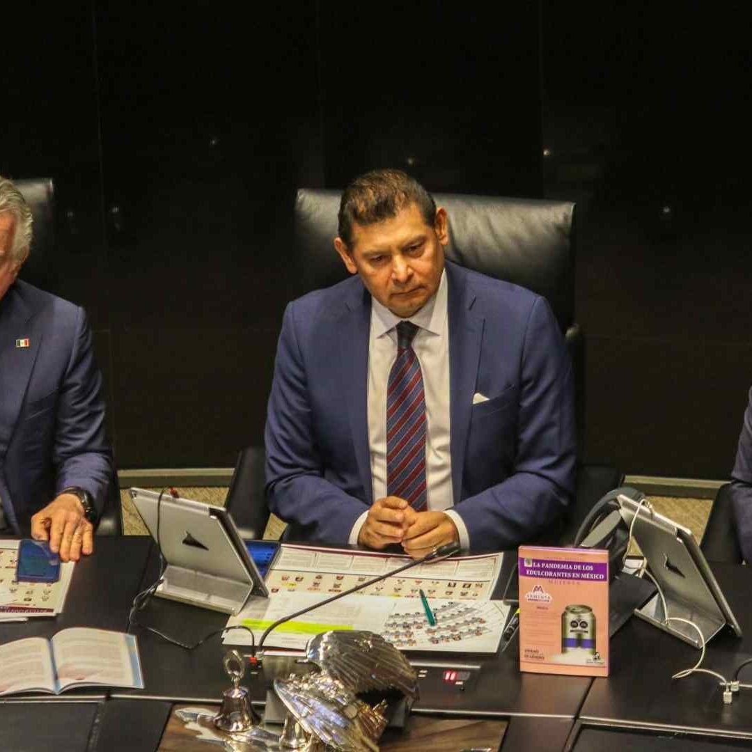 Armando Armenta encabezó la discusión en la Comisión Permanente del Senado