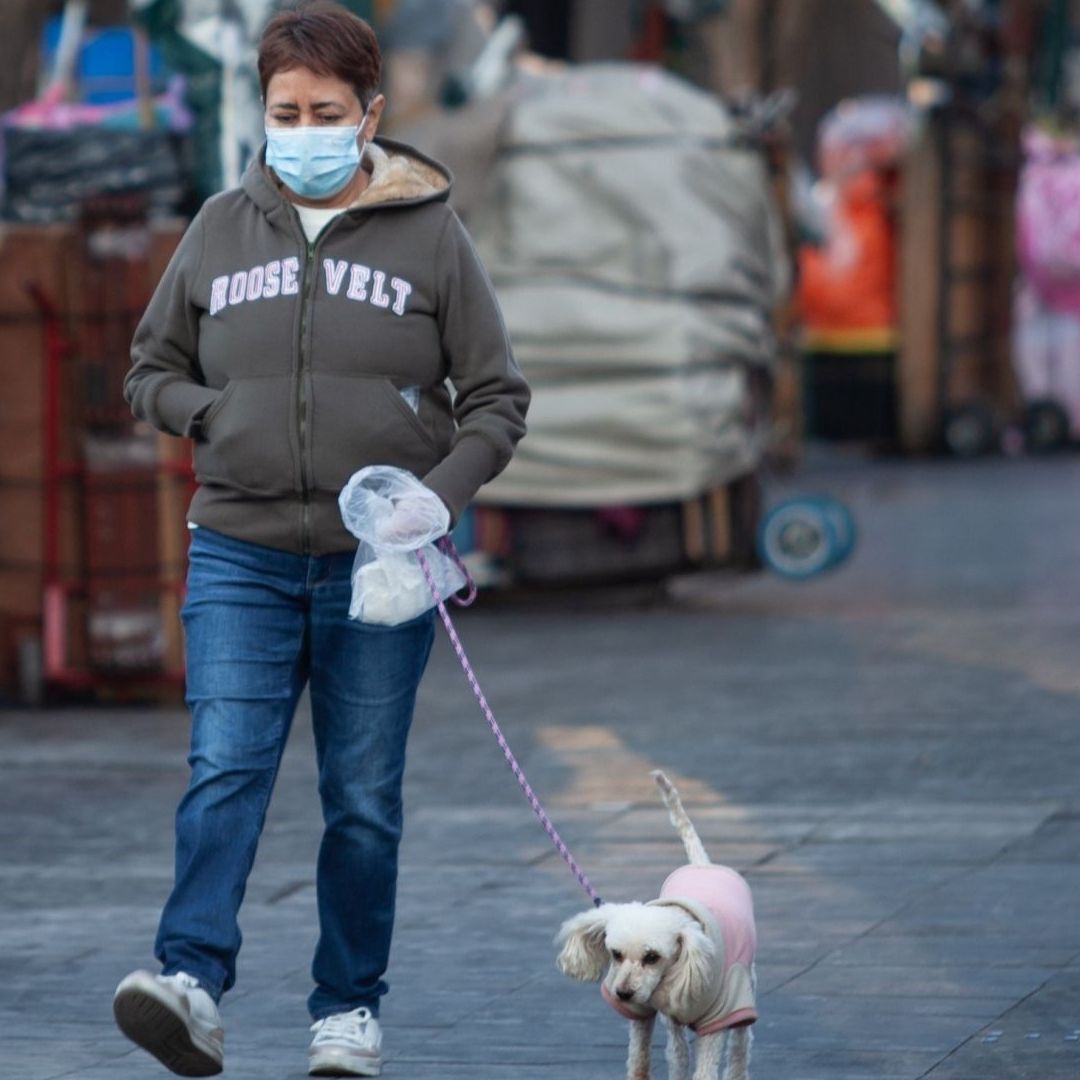Persona camina con un perrito en calles de la CDMX