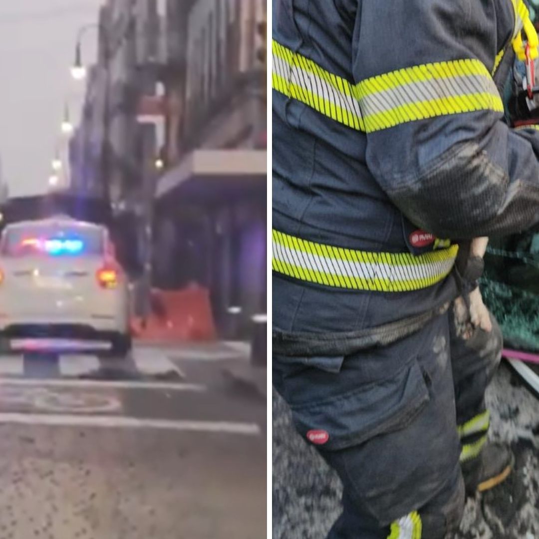 ¿Qué Pasó con el Perrito “Chicharrón”, Mascota del Taxista que Decía Tener Insectos en CDMX?