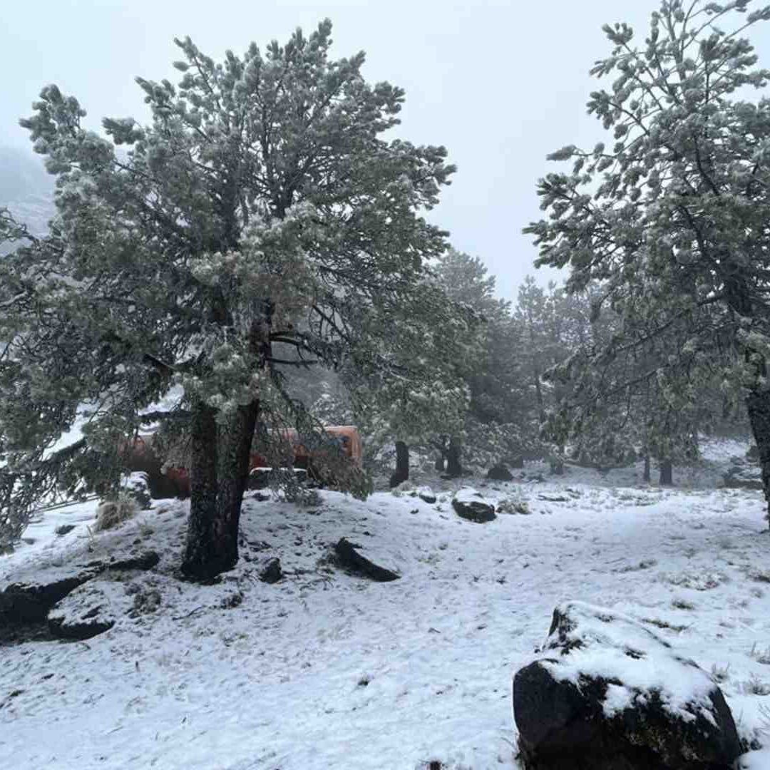 Heladas en Veracruz Clima Se Registra la Segunda Nevada de la Temporada en el Cofre de Perote Baja Temperatura