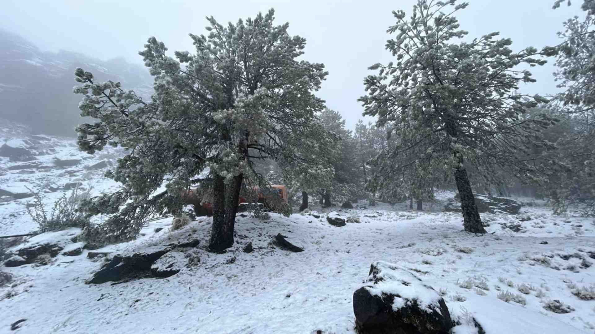 Heladas en Veracruz Clima Se Registra la Segunda Nevada de la Temporada en el Cofre de Perote Baja Temperatura