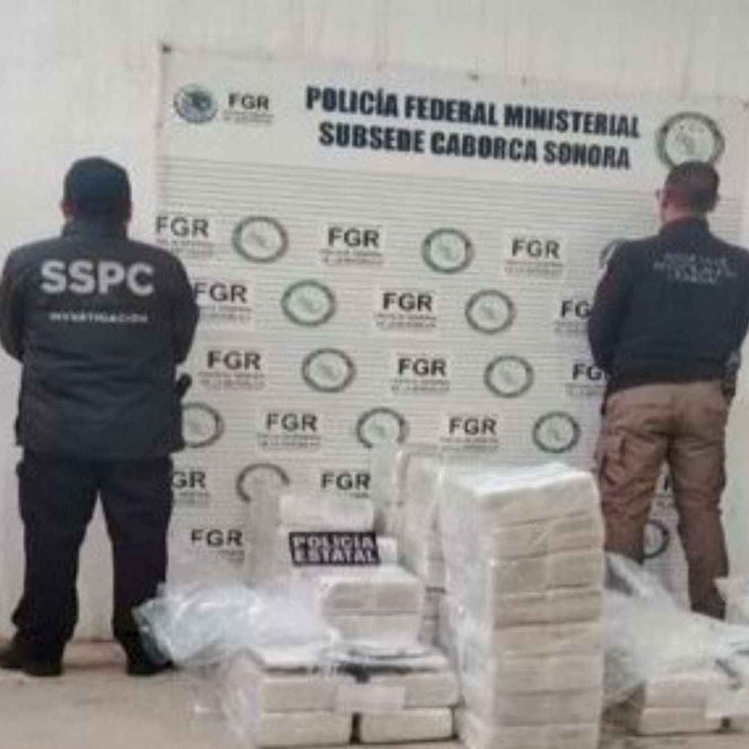 Aseguran 400 Kilos de Droga Transportada en Cajas de Pescado Congelado en Carretera de Sonora