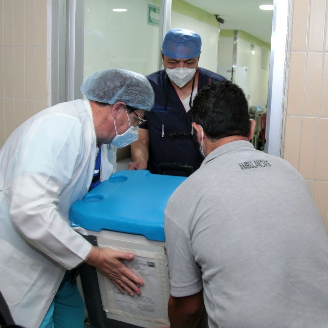Personas trasladan órganos para trasplantes médicos.