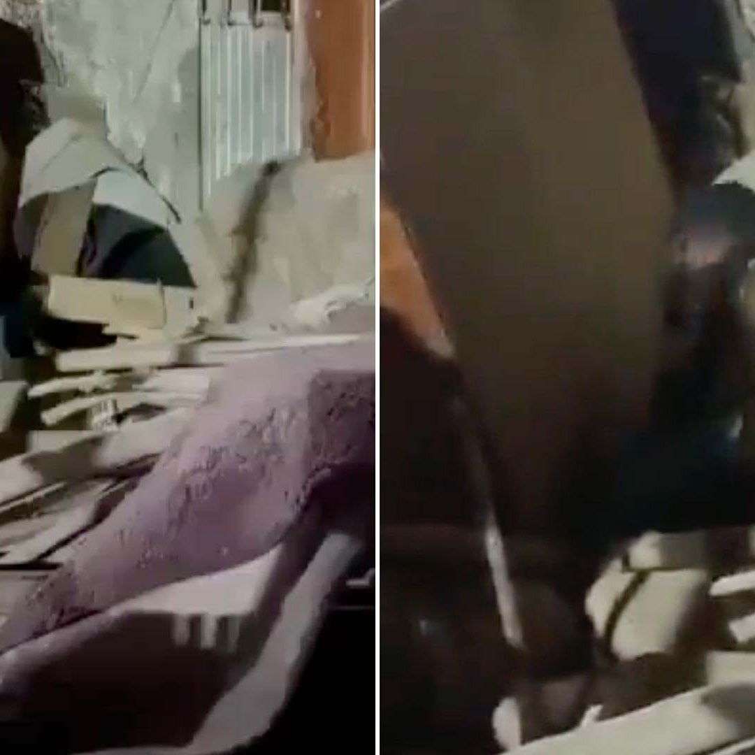 Video: Captan a hombre comiéndose a un perro en León