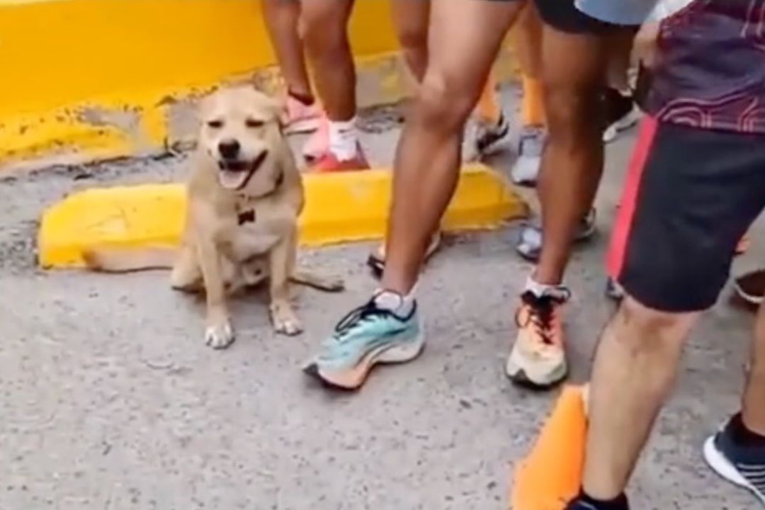 El Chicles, antes de la carrera