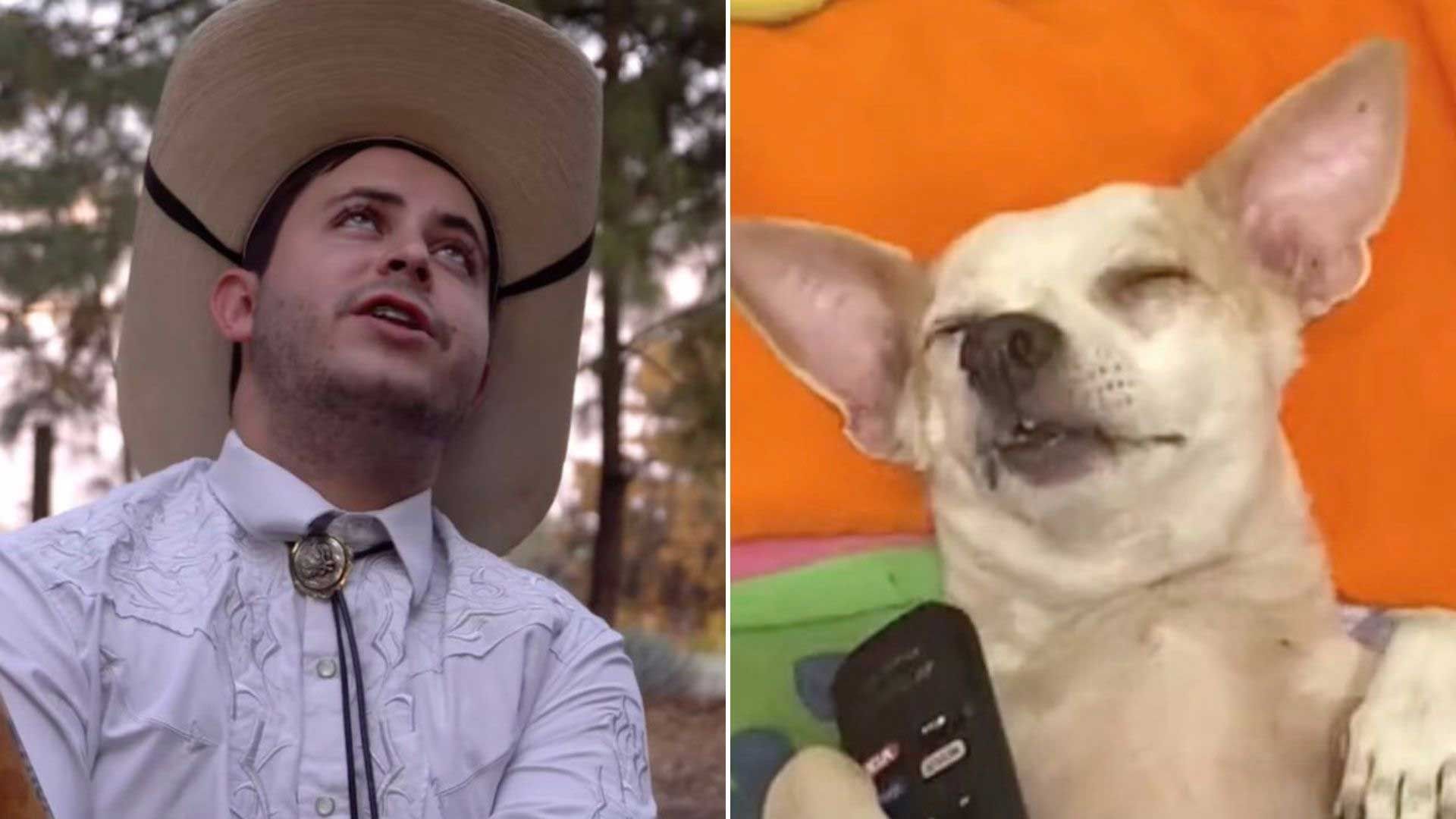 Te diremos cuál es el origen del audio viral "Qué agusticidad"