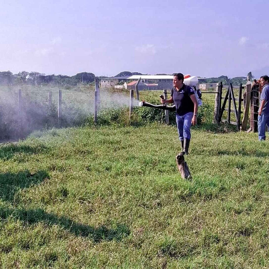 Reportan Caso de Gusano Barrenador en el Edomex; Autoridades Detectaron a Una Cabra Afectada