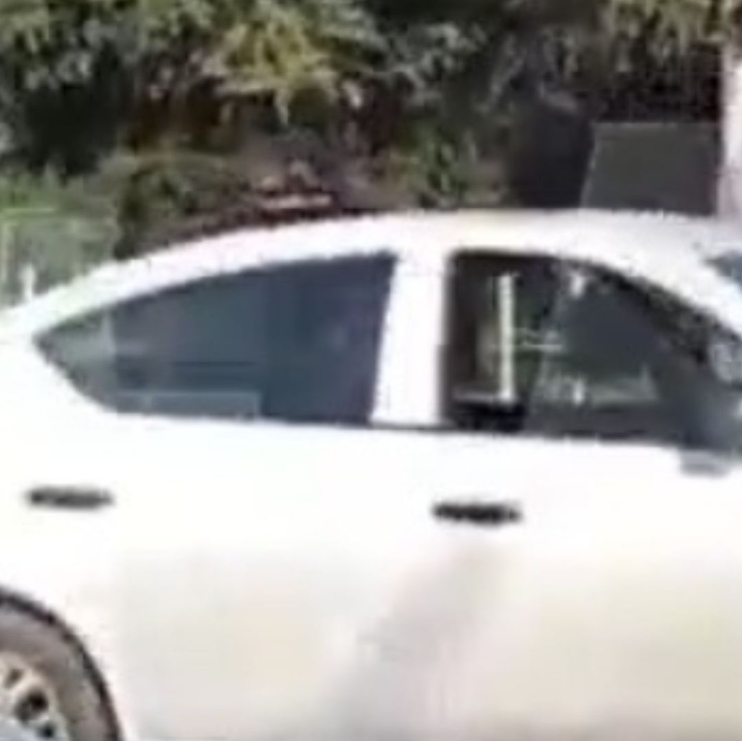 Auto asegurado de joven detenido.