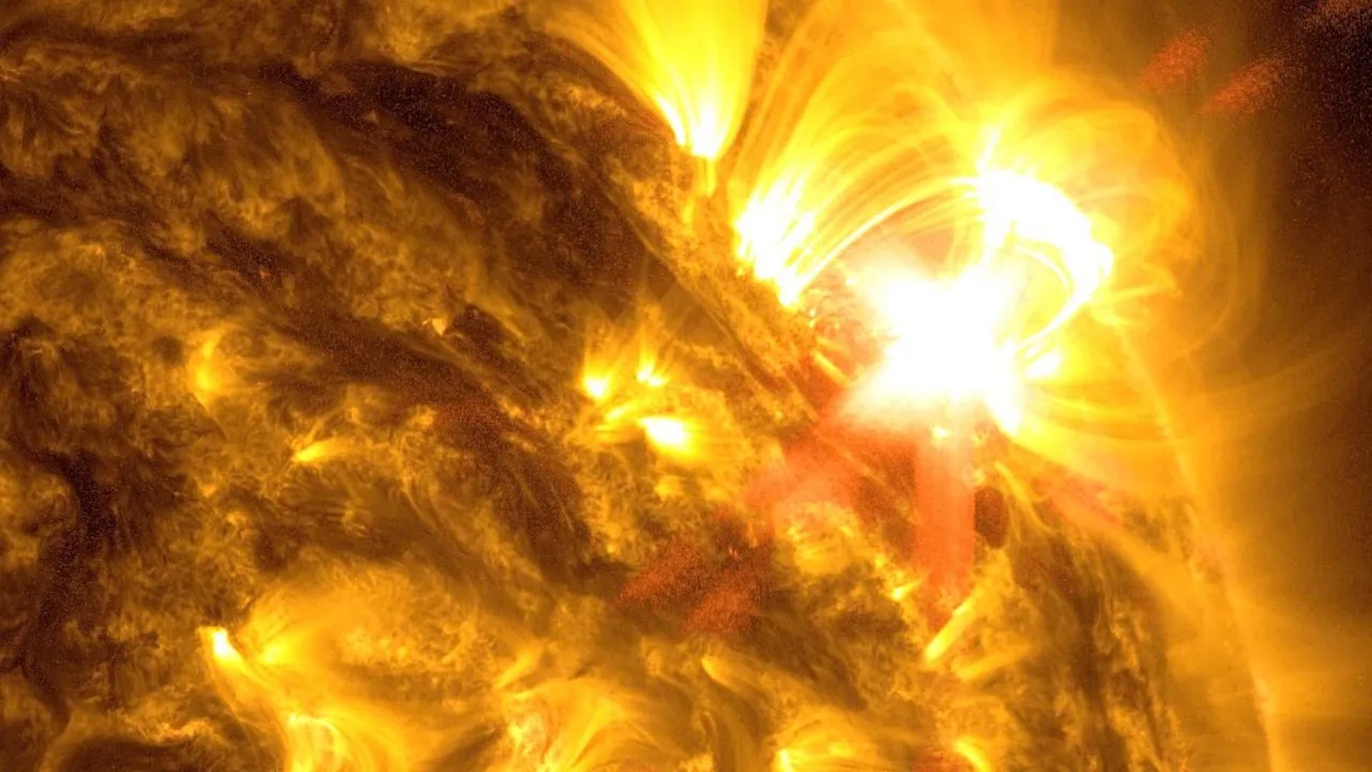 Las erupciones del Sol pueden afectar en la Tierra. Foto: NASA