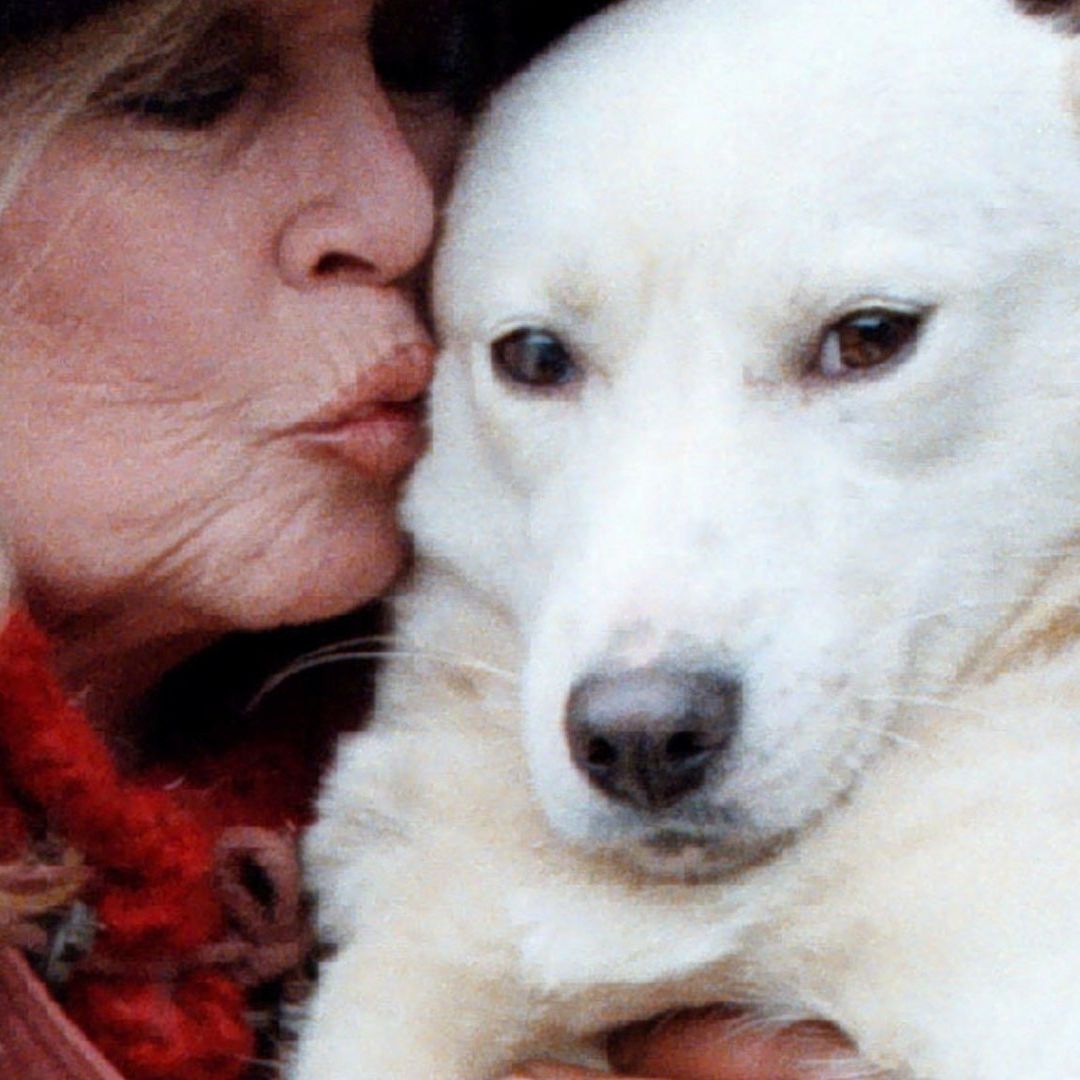 Brigitte Bardot Murió de Cáncer, Revela su Viudo.