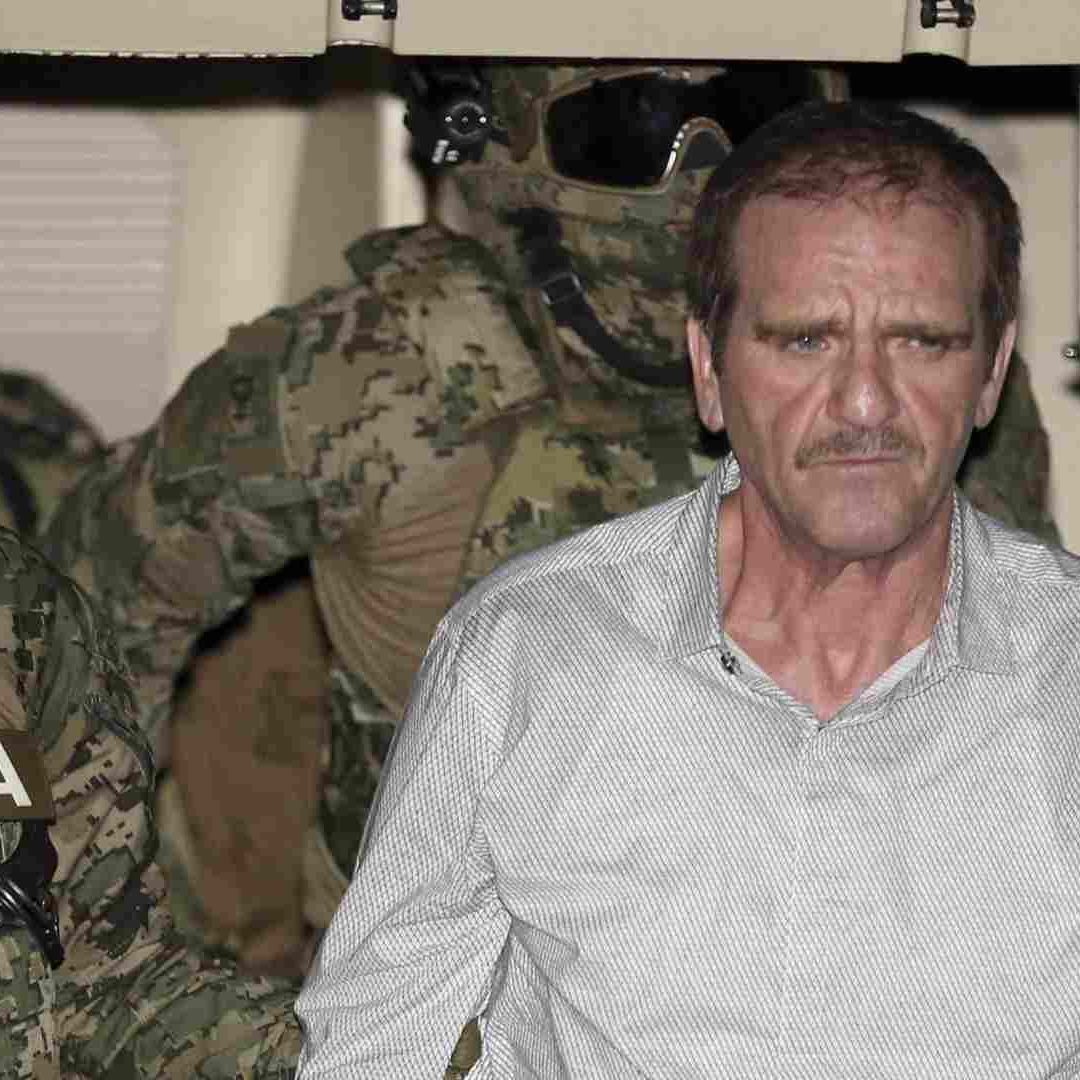 Detención de El Güero Palma en junio de 2016