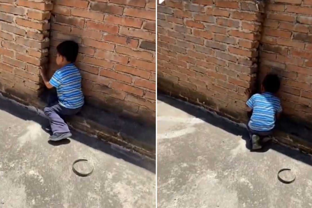 Mamá se pregunta por qué su hijo habla con la pared y se lleva sorpresa