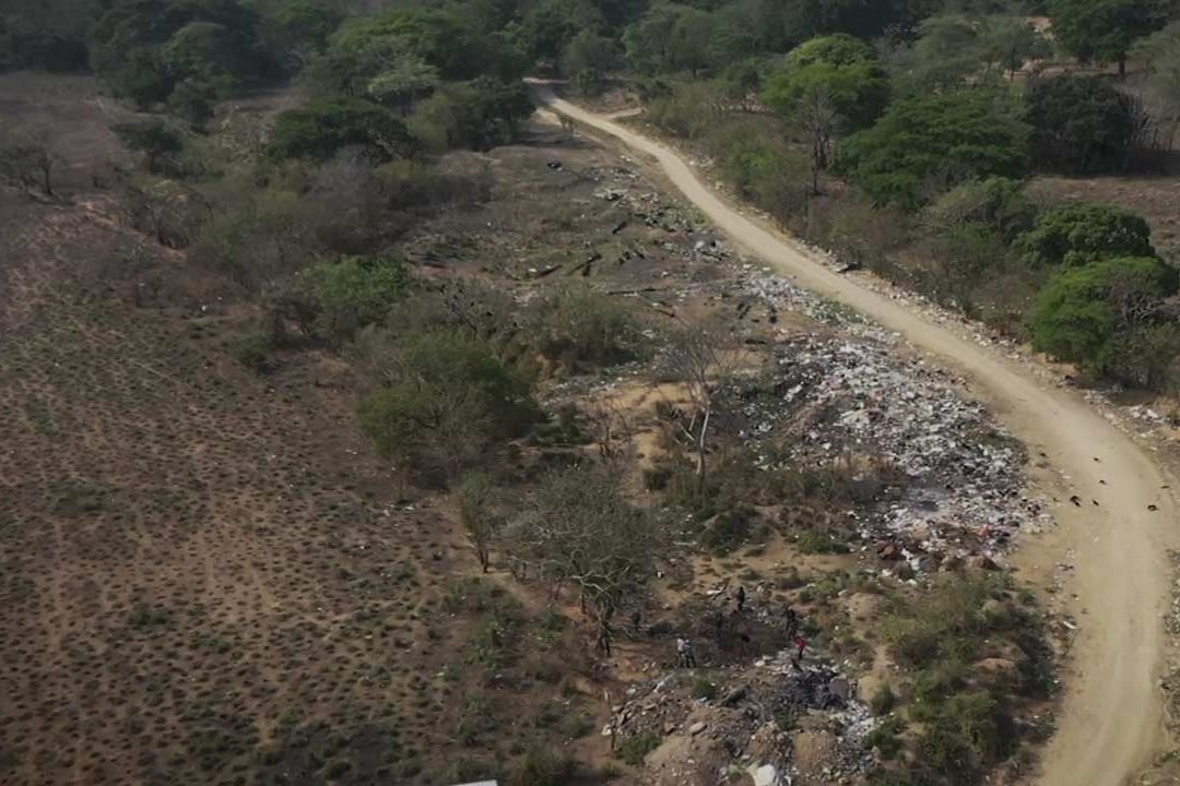 Denuncian Toneladas de Maíz de Segalmex Podrido en Chiapas