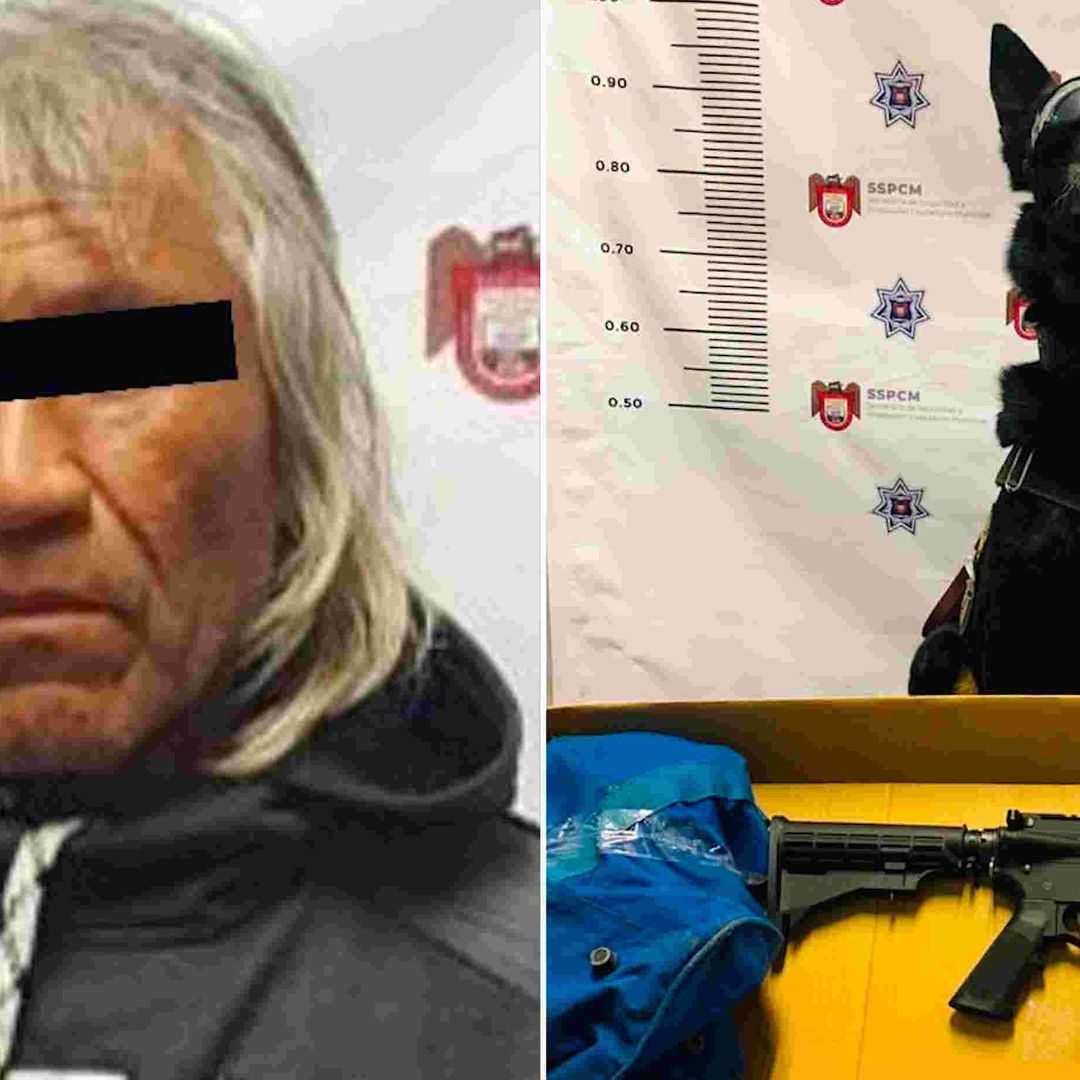 Agente K9 ayuda a localizar arma y droga a sujeto en Tijuana