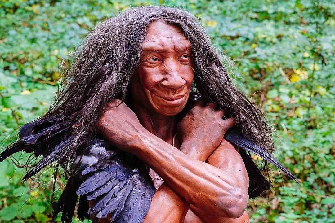 Recreación del hombre de Neanderthal en un museo