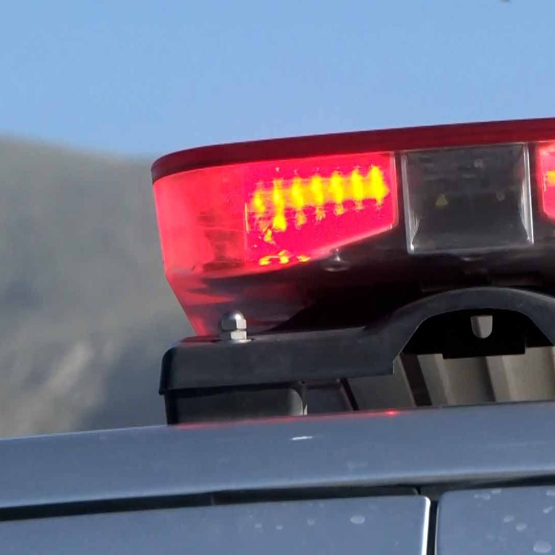 Encuentran Restos Humanos en Predio Baldío en Piedras Negras