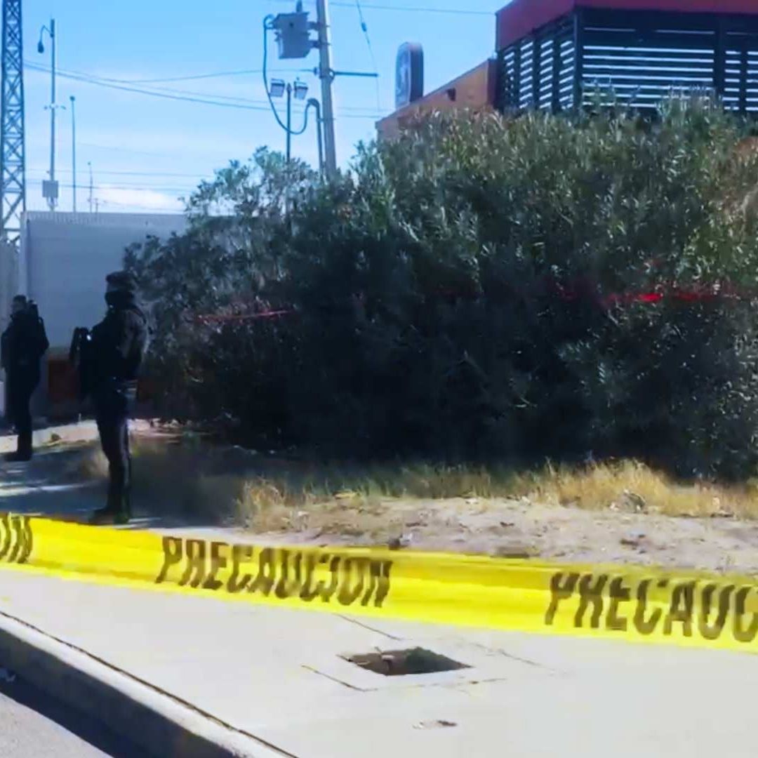 Encuentran a Hombre Sin Vida Entre Arbustos