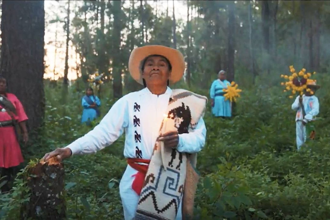 Pueblos Indígenas, Guardianes de la Naturaleza