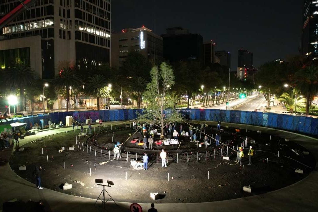 Reforma tiene nuevo ahuehuete