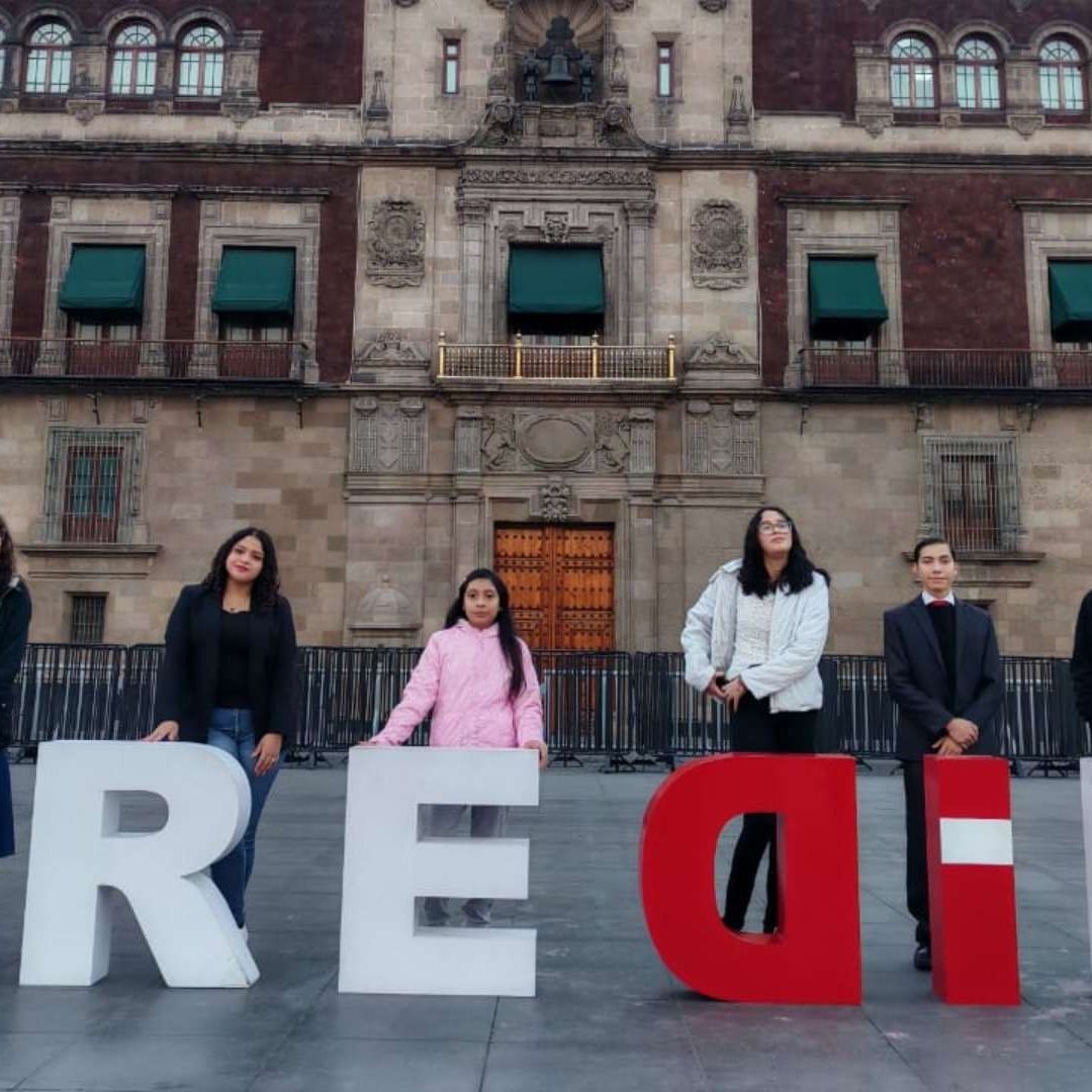 La Red por los Derechos de la Infancia en México (REDIM)