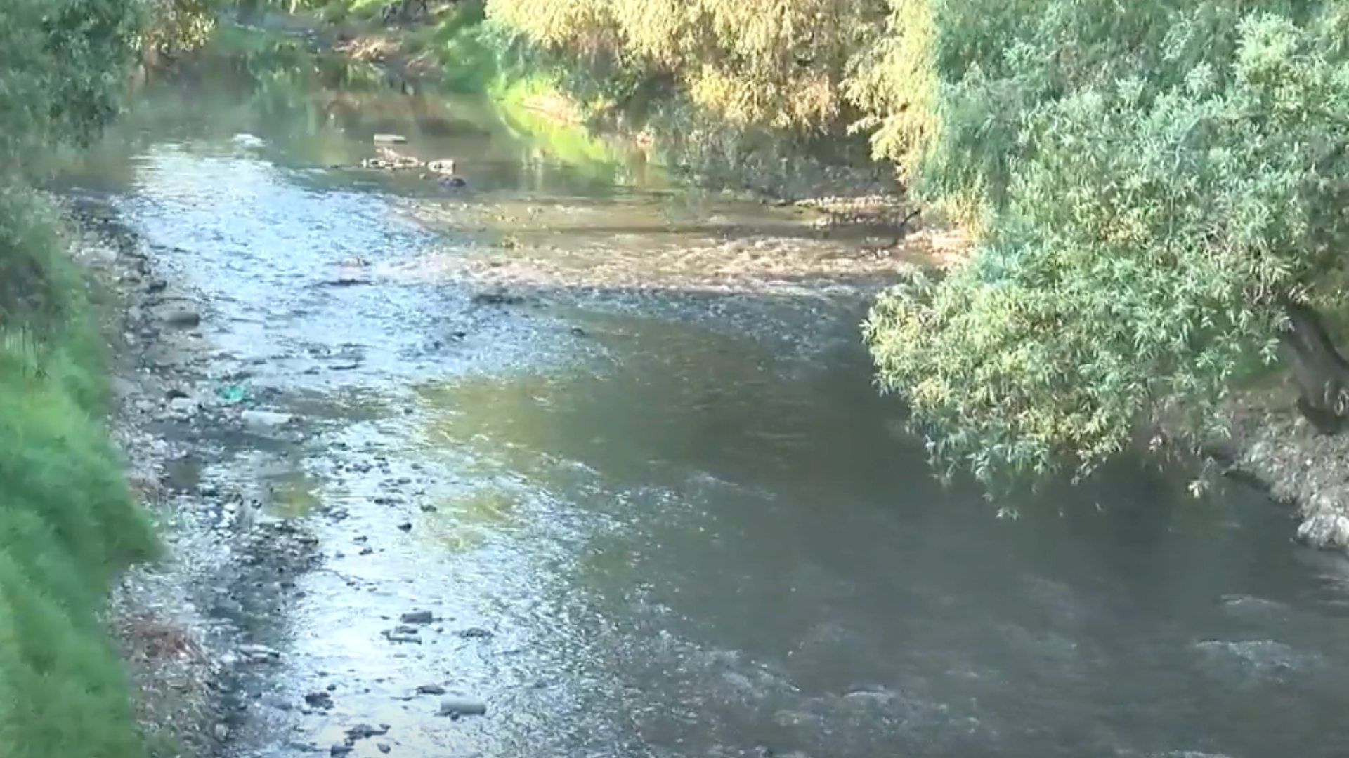 Habitantes de Santa Rita Tlahuapan, Puebla, Denuncian Contaminación en el Río Atoyac
