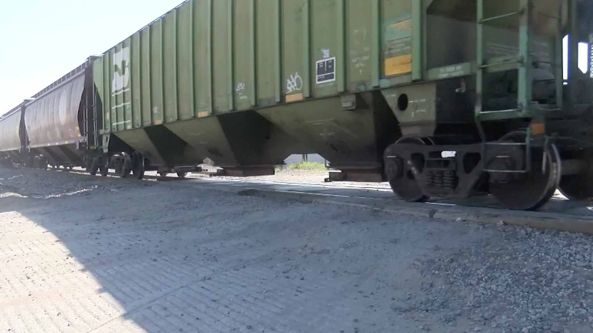 Mujer es Arrollada por Tren al Caer del Vagón en el que Viajaba en Coahuila