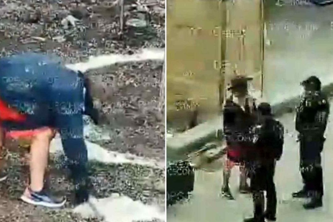 Un hombre fue detenido por poner cemento alrededor del nuevo ahuehuete en la glorieta de Paseo de la Reforma