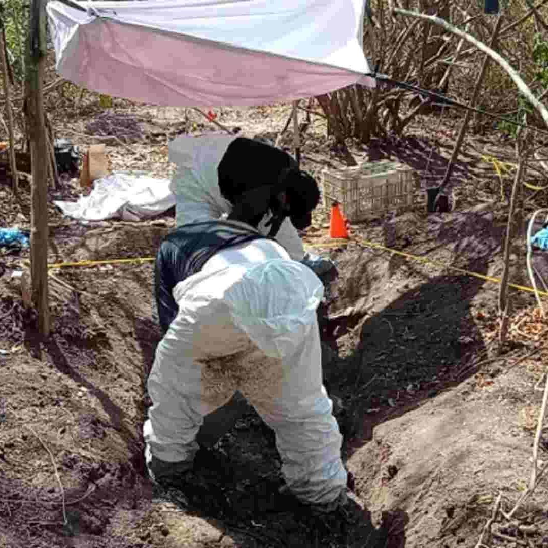 Fosas clandestinas en Tecomán, Colima
