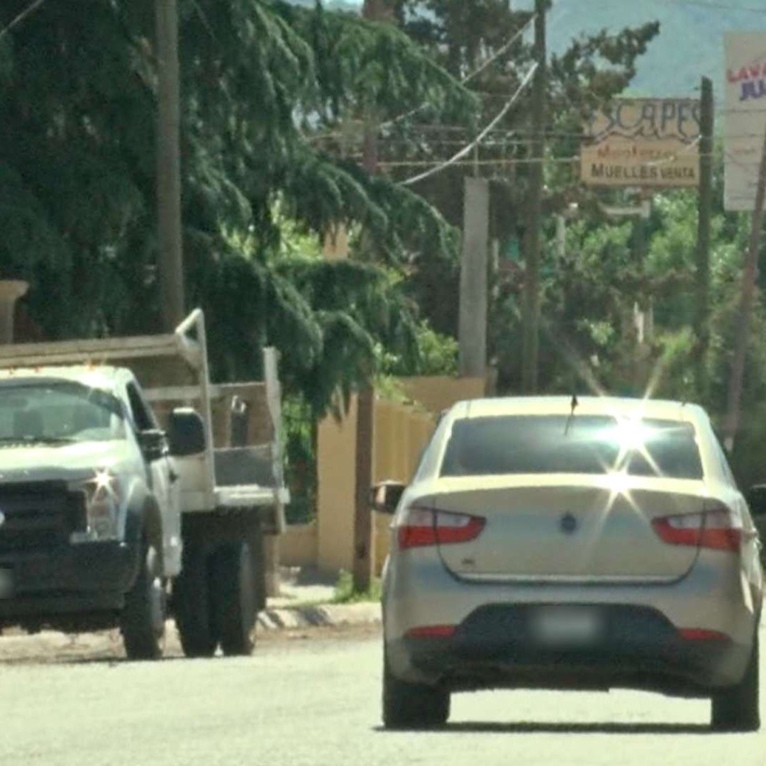 Sujeto que Presuntamente Atropelló a 3 Caninos Pudiese ir a Prisión en Cananea, Sonora