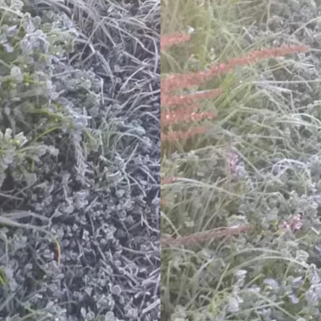En algunos sitios se presentaron las temperaturas más bajas de la actual temporada invernal 2025-2026.
