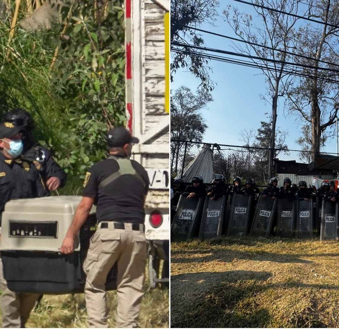 Activistas Protestan en Refugio Franciscano en Cuajimalpa; Sigue Gran Despliegue de Policías