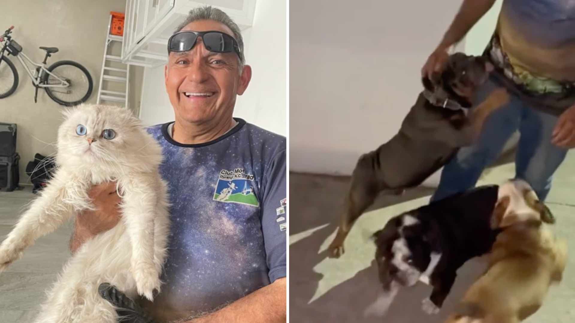 Técnico en reparación manda a su hija fotos de cada mascota que conoce