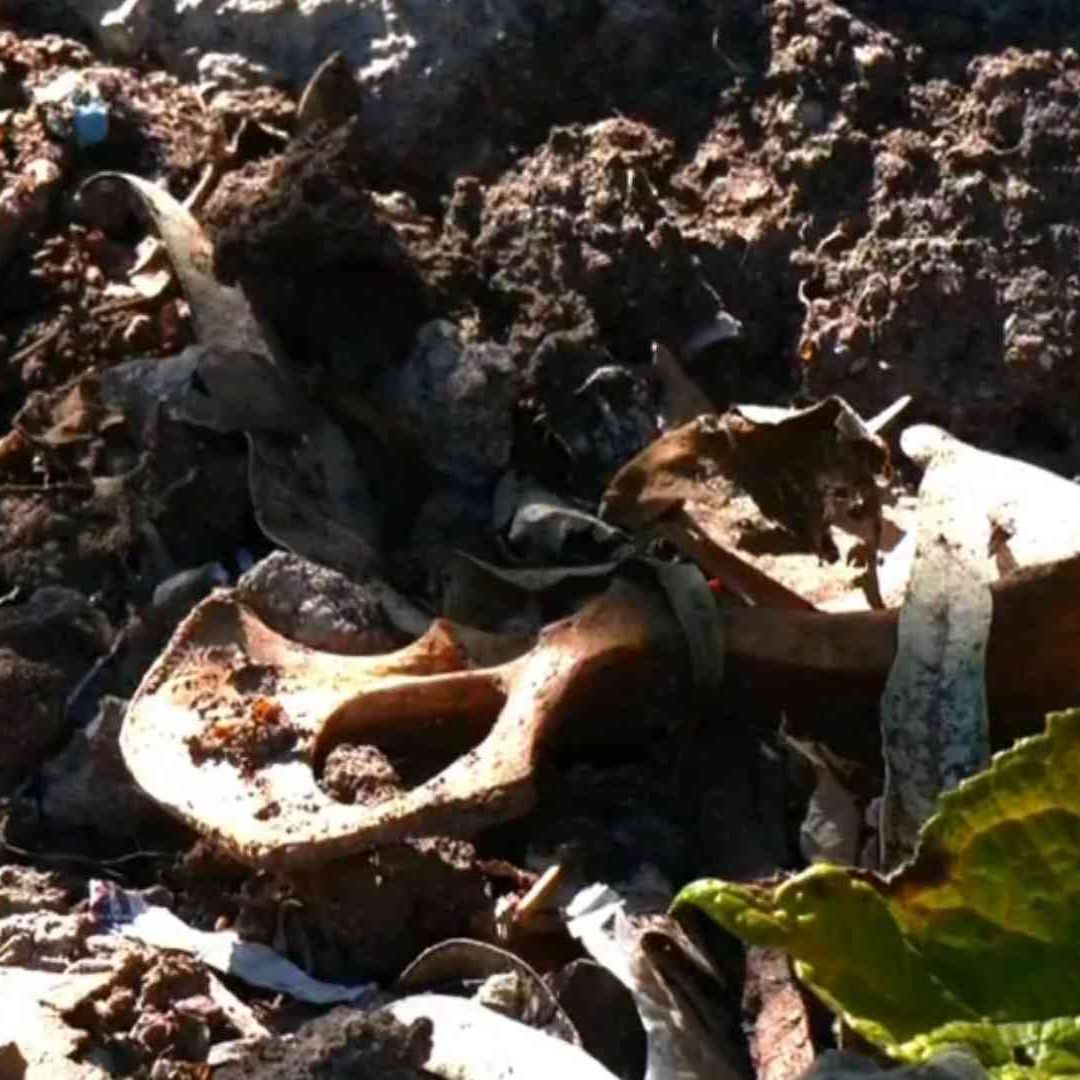 Presunta fosa localizada en Refugio Franciscano A.C. Foto: Captura de pantalla
