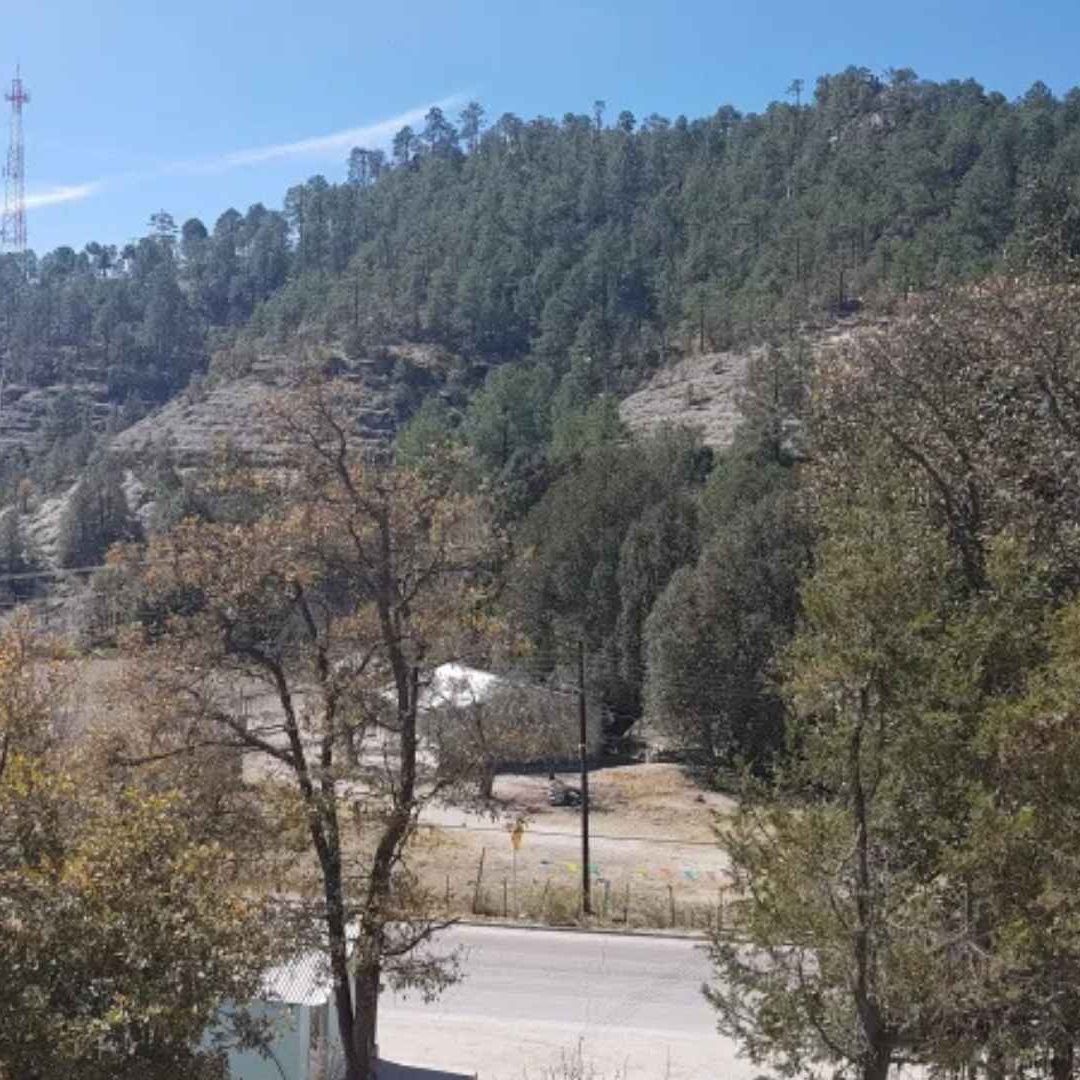 Frente Frío 27 en Chihuahua: Alertan por Bajas Temperaturas, Vientos Fuertes y Lluvias