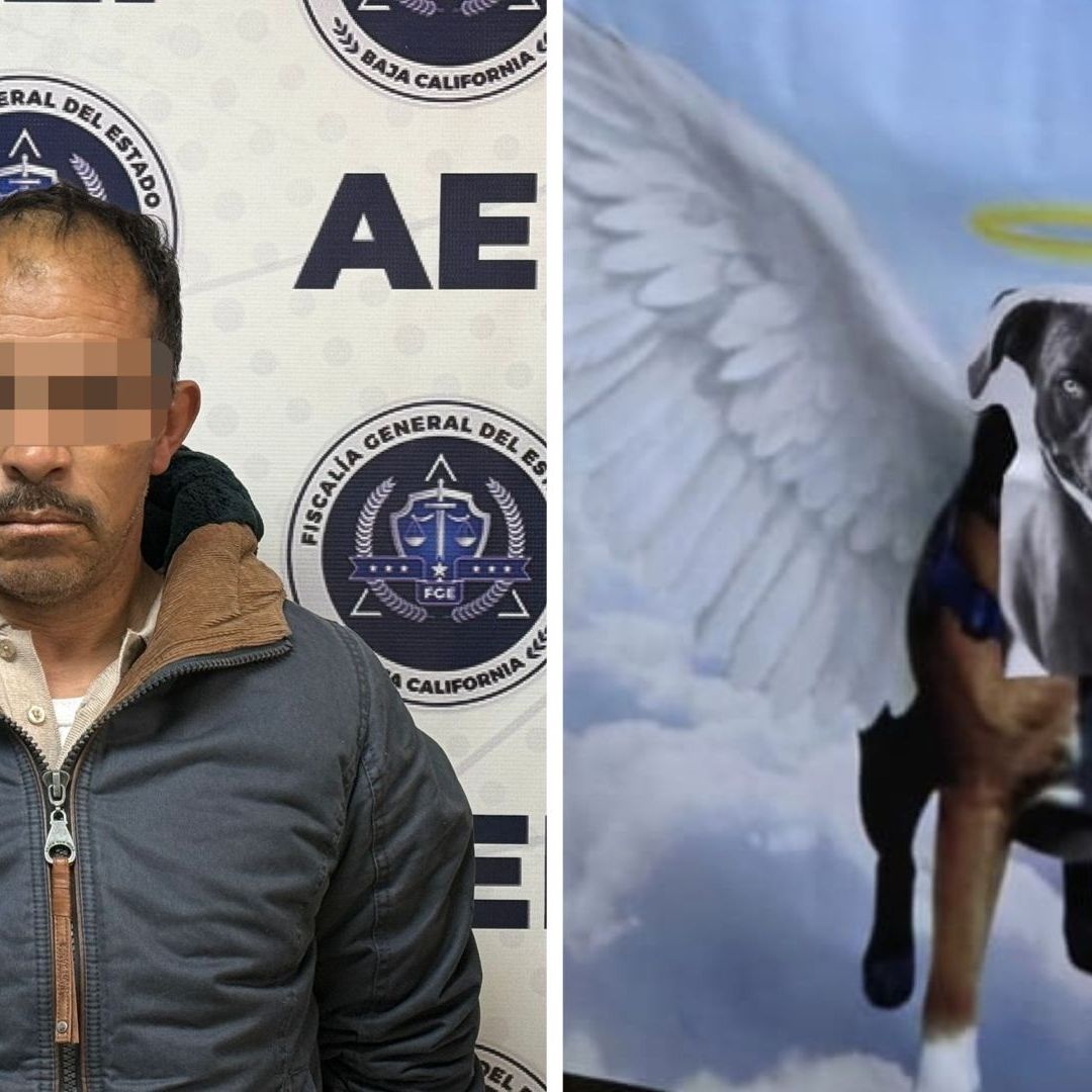 FGE Detiene a Hombre en Tijuana por Presunto Maltrato Animal en Otay Jardín