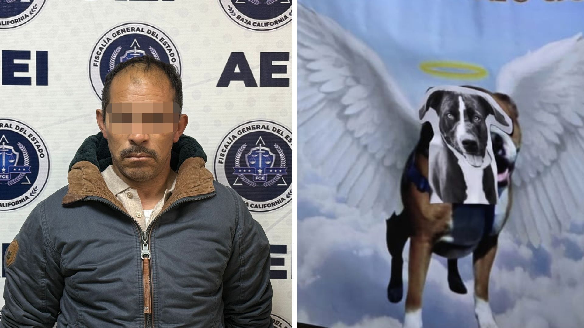 FGE Detiene a Hombre en Tijuana por Presunto Maltrato Animal en Otay Jardín