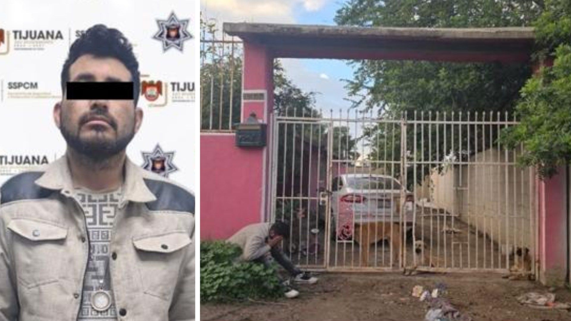 Aseguran a Padrastro de Menor Atacado por Perros en Tijuana por Presunta Omisión de Cuidados