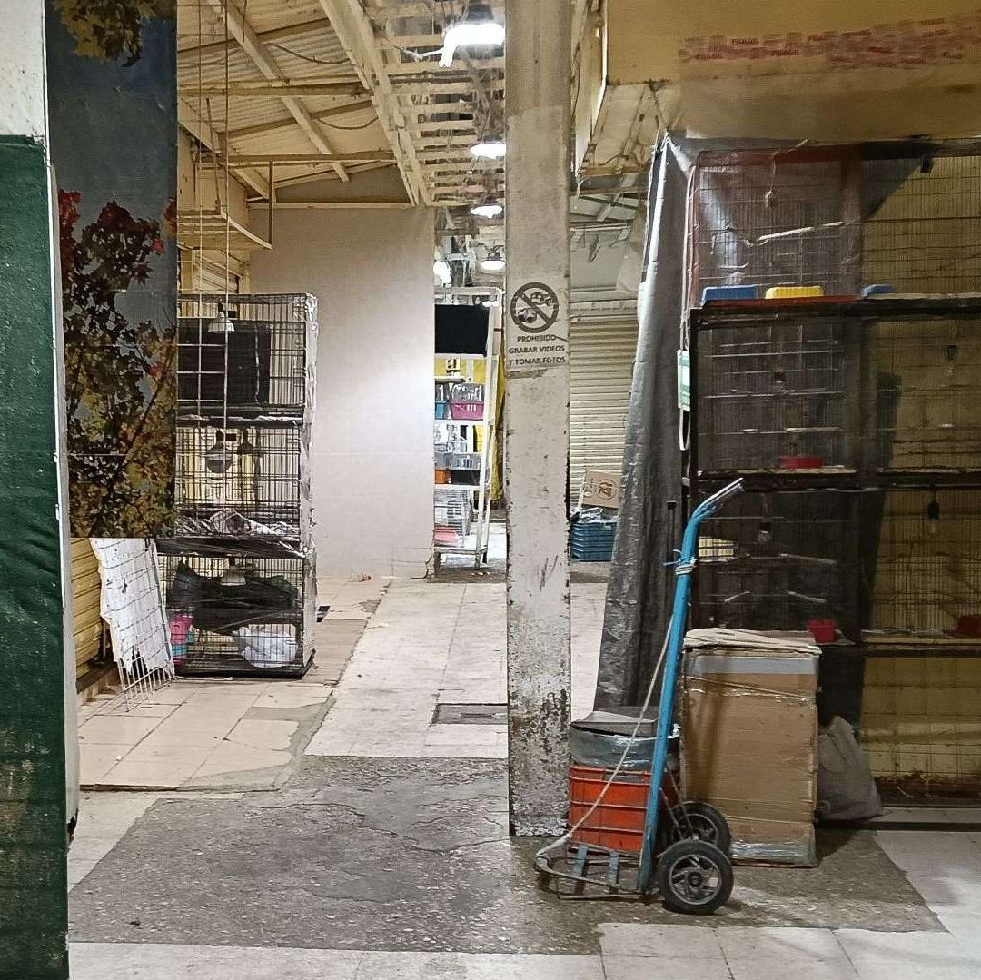 Rejas dentro de un mercado.