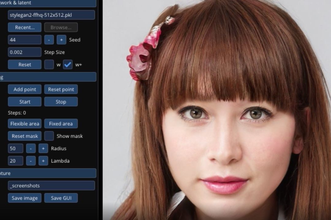 DragGan es un editor de imágenes que utiliza la inteligencia artificial