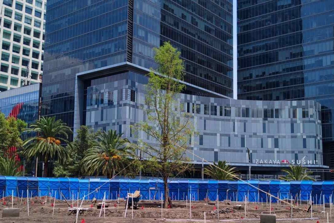El hombre declaró en su entrevista al Ministerio Público de la Fiscalía en Cuauhtémoc, que vive en situación de calle y que no sabía que estaba afectado el árbol