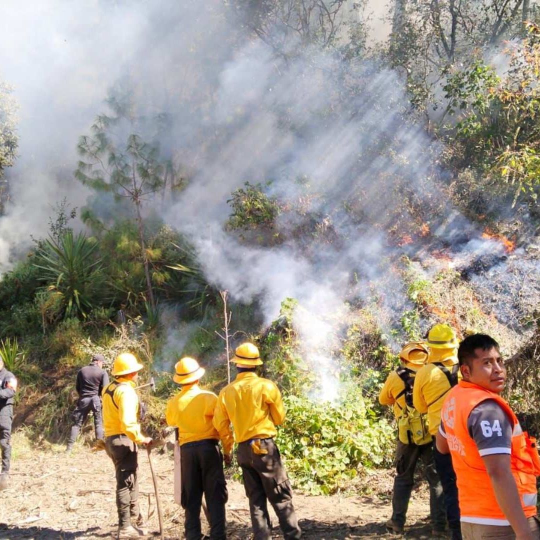 Primer Incendio Forestal 2026 Barranco de la Cruz Chilchotla Puebla