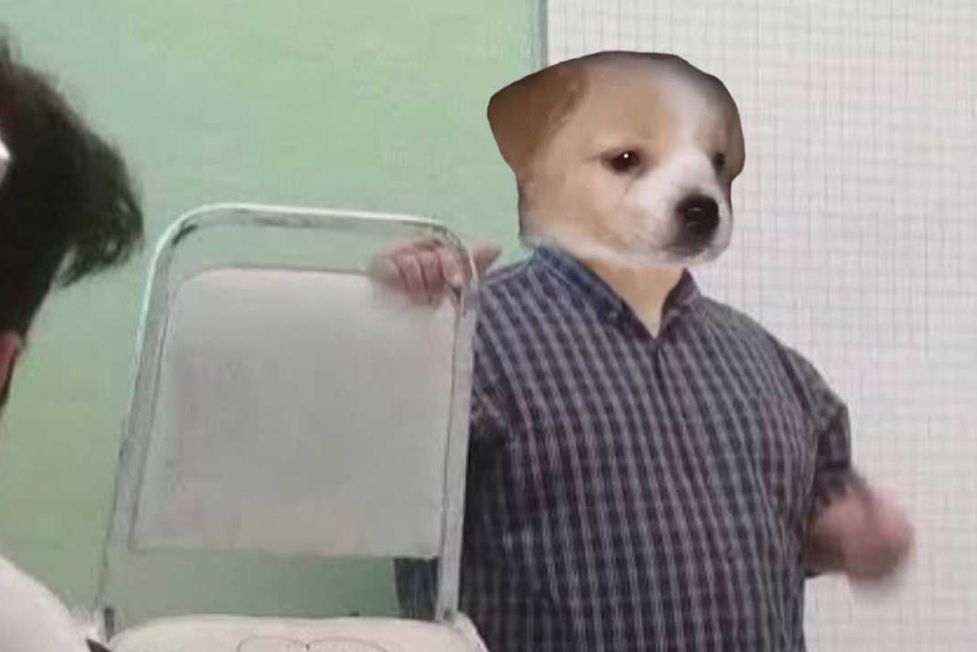 Meme de un perrito profesor de escuela