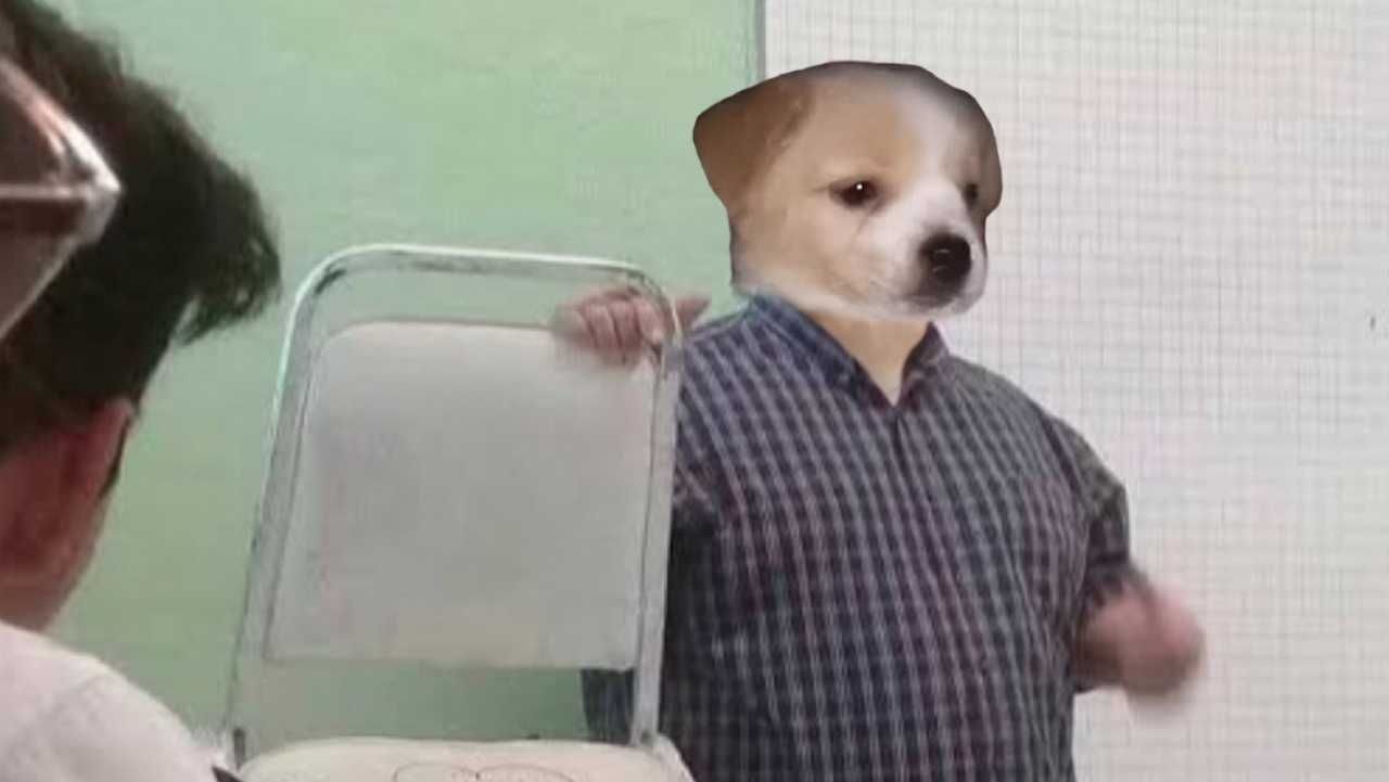 Meme de un perrito profesor de escuela