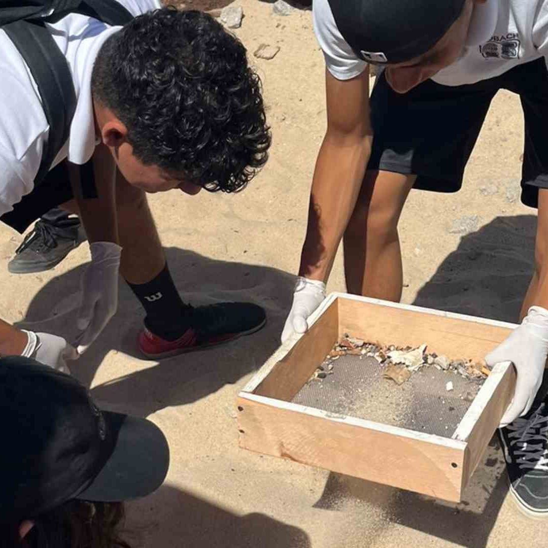 Recolectan colillas de cigarro por el Día Mundial sin Tabaco