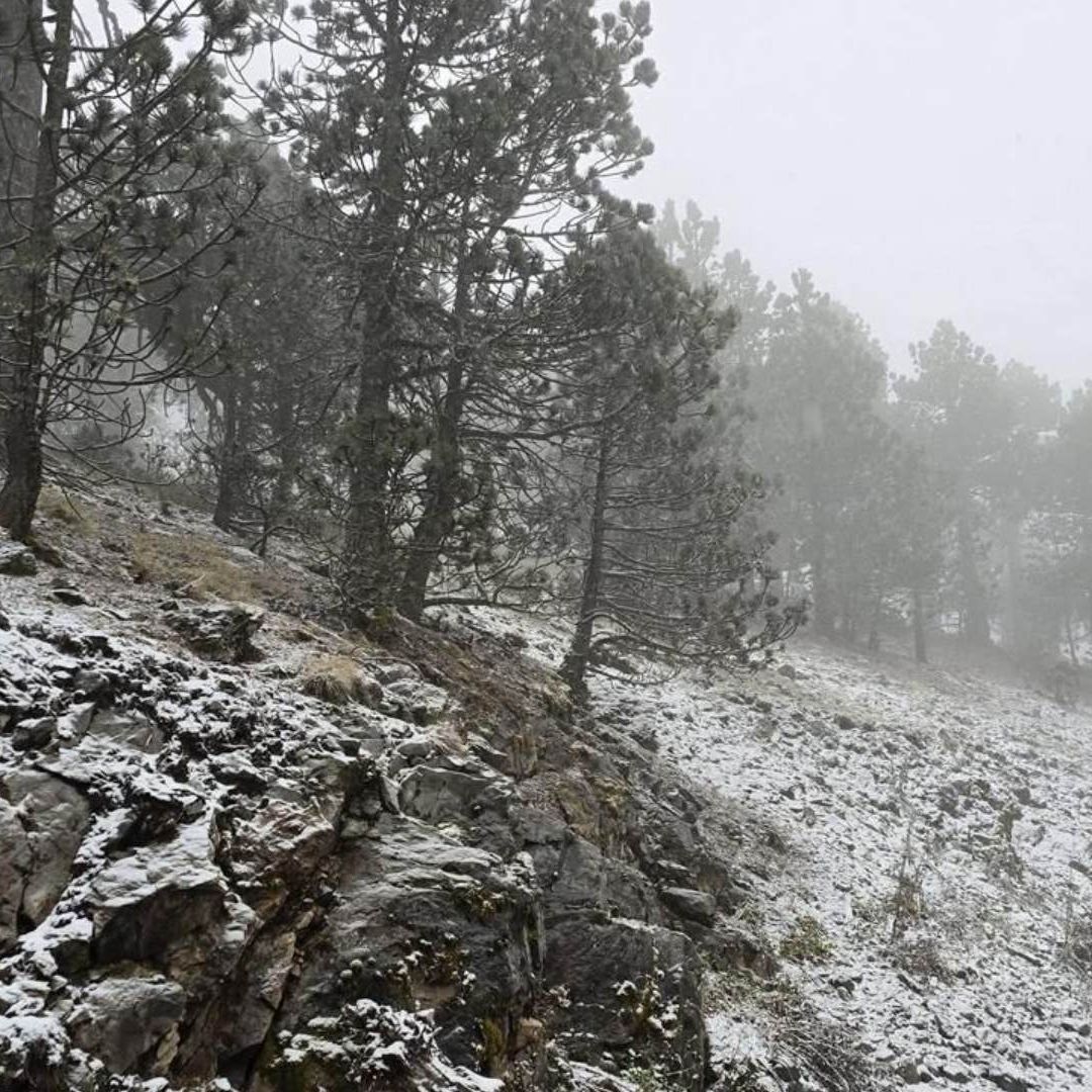 Caída de nieve en estado de México como Nuevo León