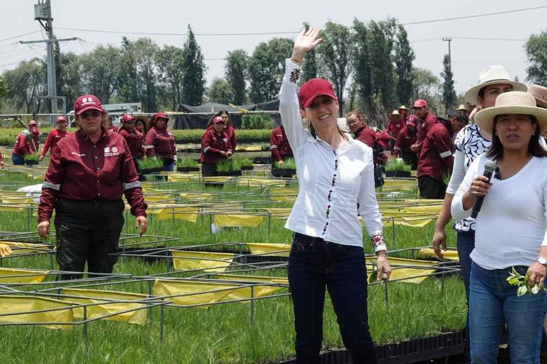 Sheinbaum Celebra que Mexicanos Apoyen la Idea de una Presidenta