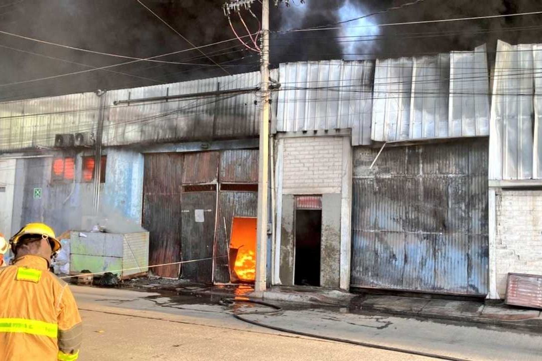 Incendio en pastizal afecta 3 fábricas en León, Guanajuato