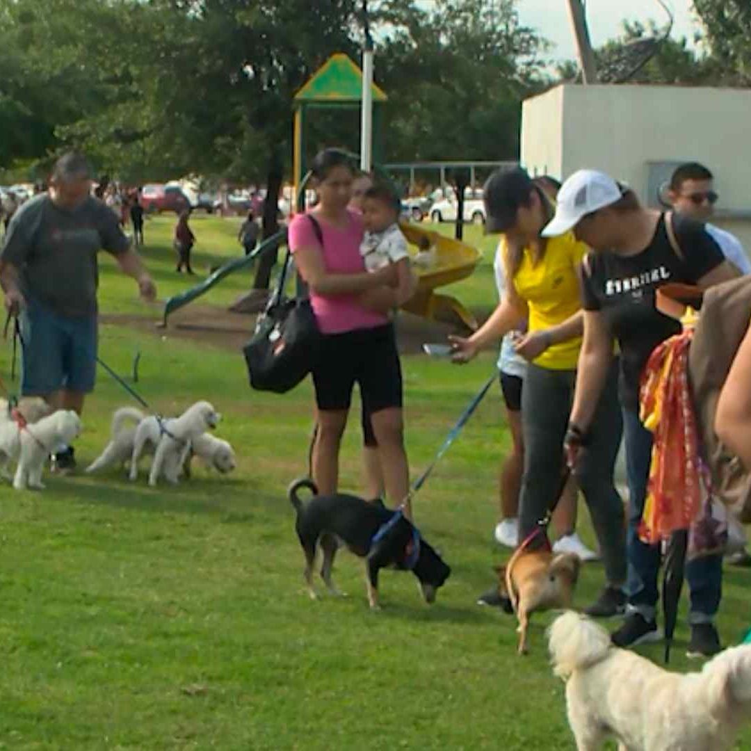 Regios no perdieron la oportunidad de poder tener en sus manos las actas de nacimiento de sus perros