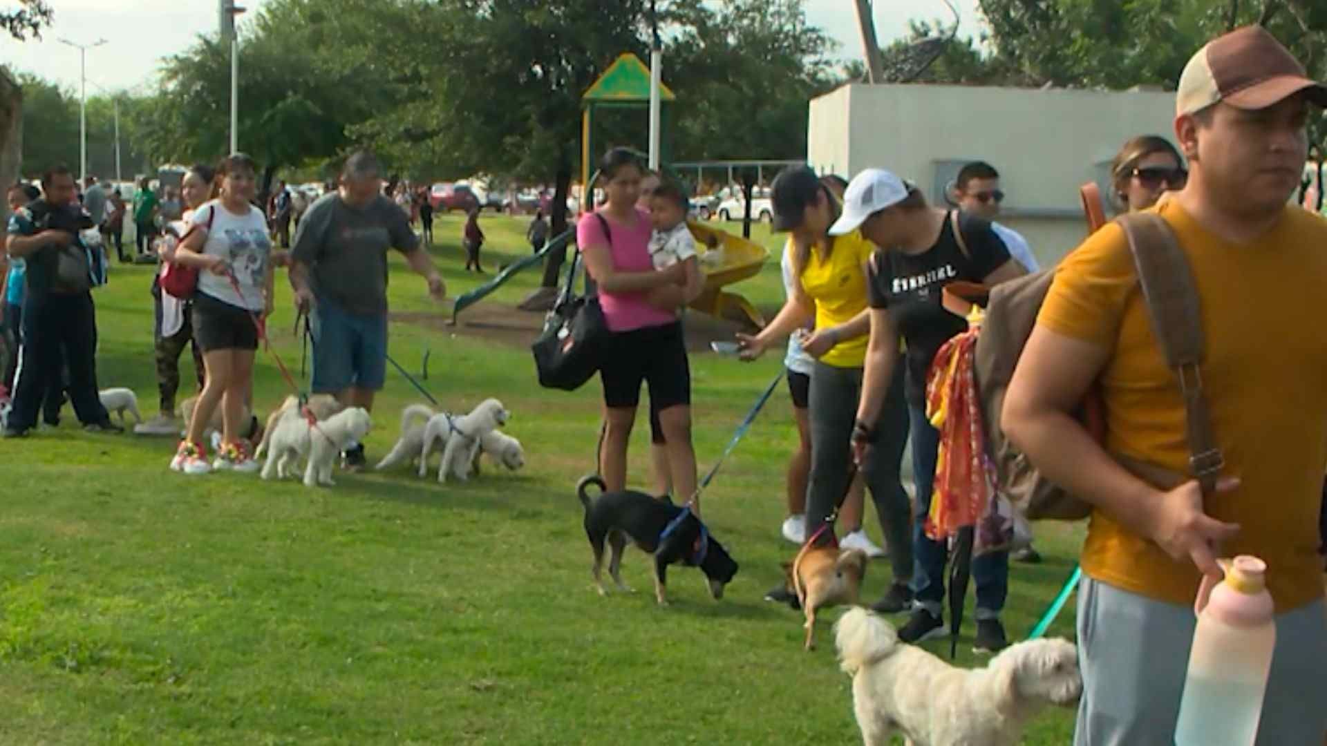 Regios no perdieron la oportunidad de poder tener en sus manos las actas de nacimiento de sus perros